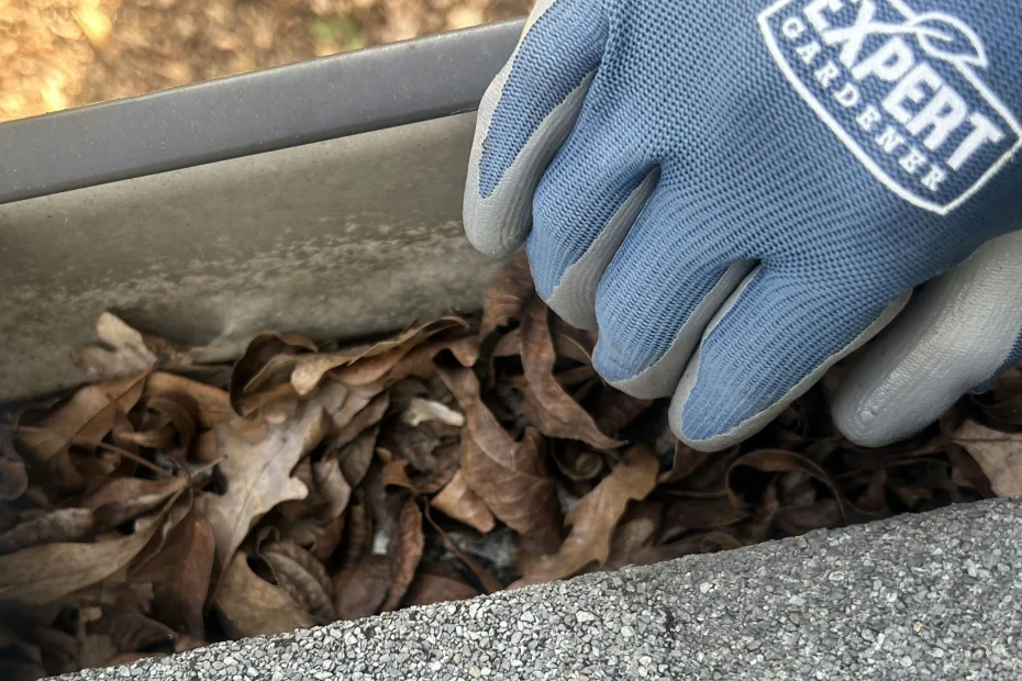 Gutter Cleaning Virginia Beach VA