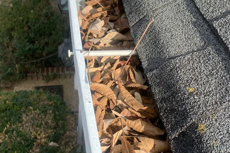 Gutter Cleaning Virginia Beach VA