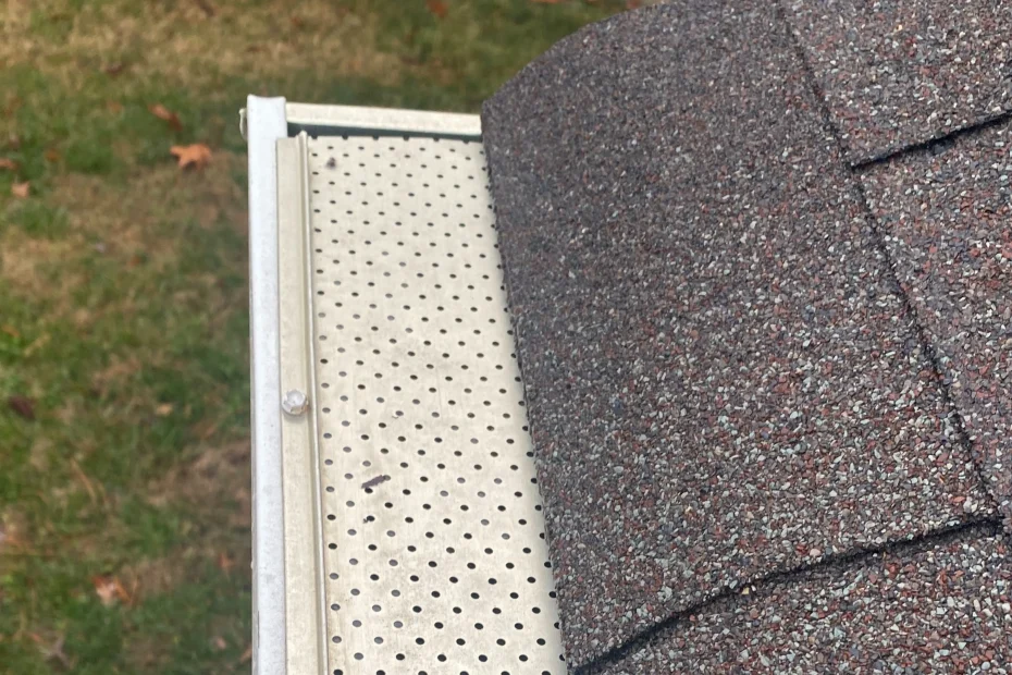 Gutter Cleaning Virginia Beach VA