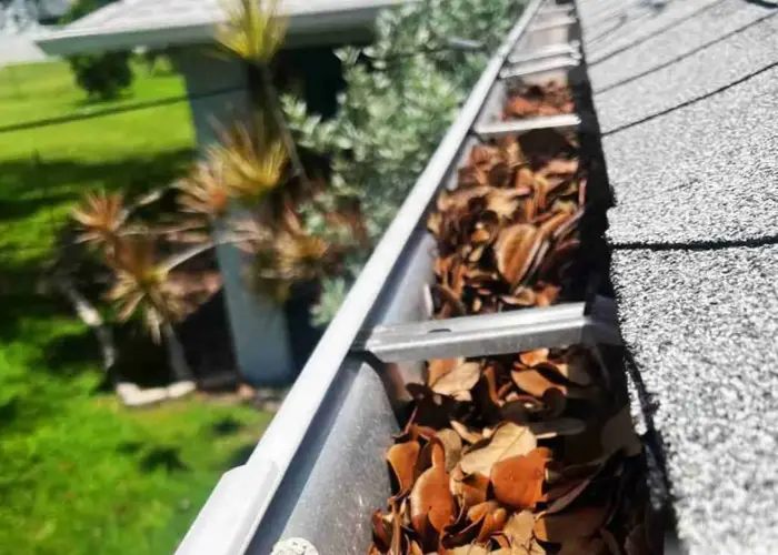 Gutter Cleaning Virginia Beach VA home page